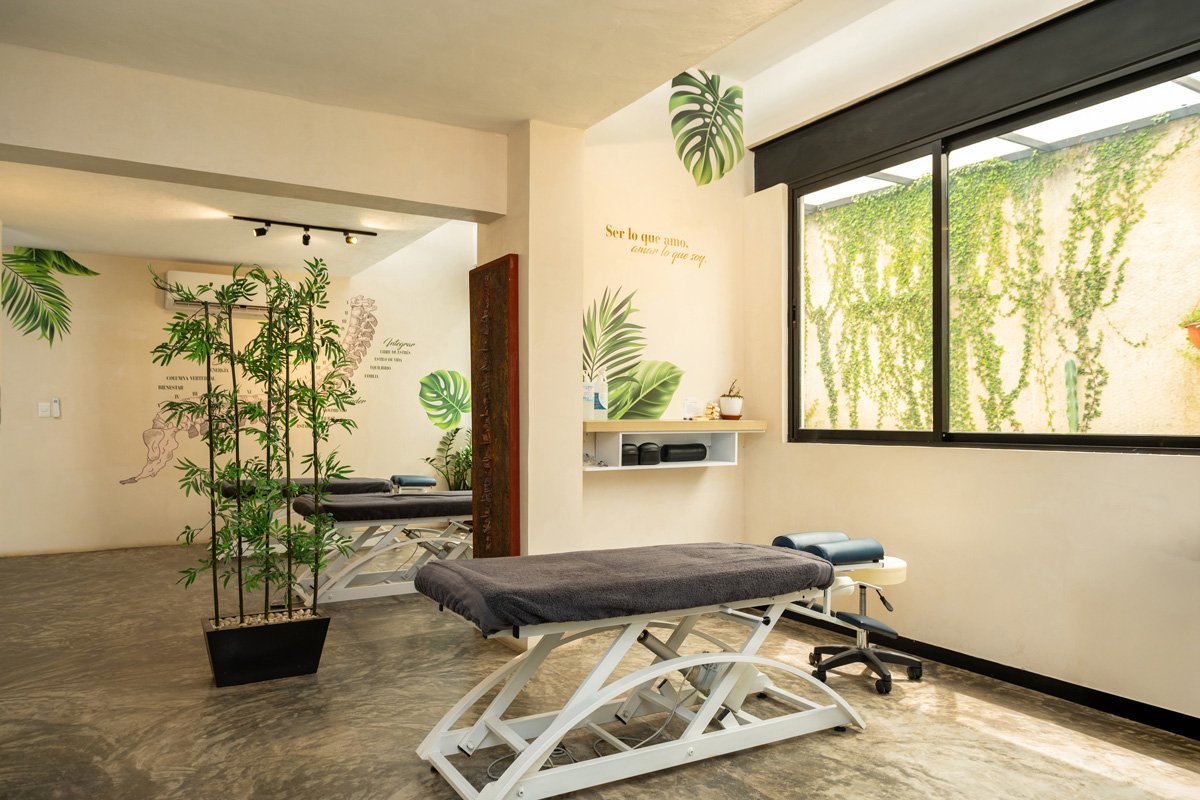 quiropráctica y fisioterapia